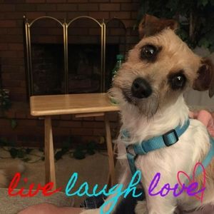 Meet your Posher, Carolyn